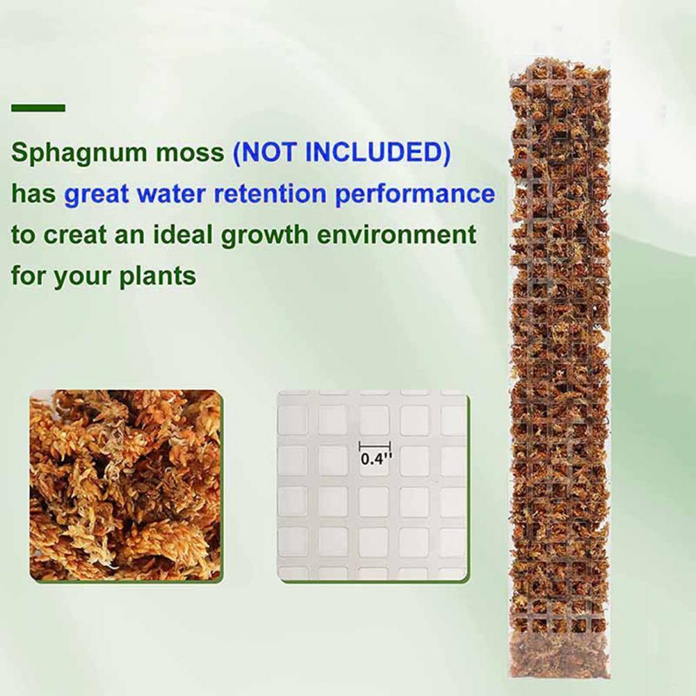 Soporte para plantas trepadora - Sphagnum Moss Dry reseña y precio