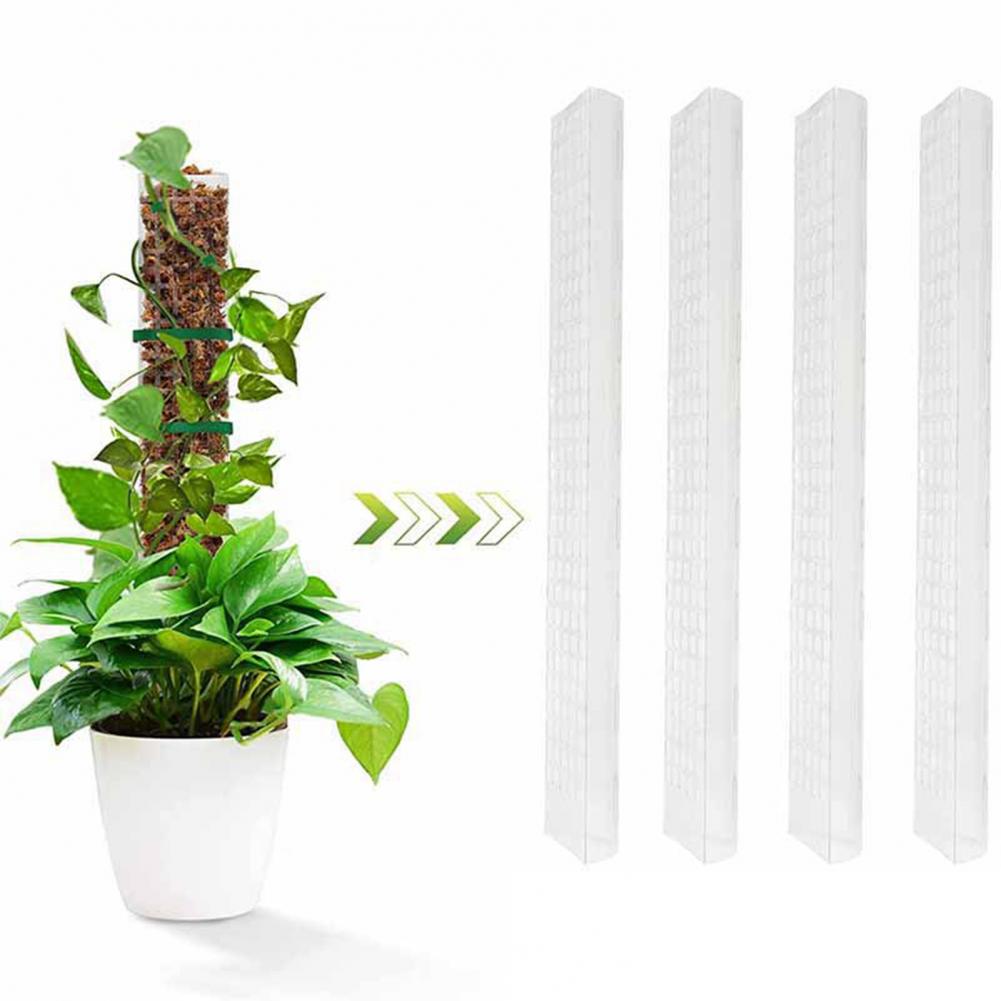 Soporte para plantas trepadora - Sphagnum Moss Dry reseña y precio