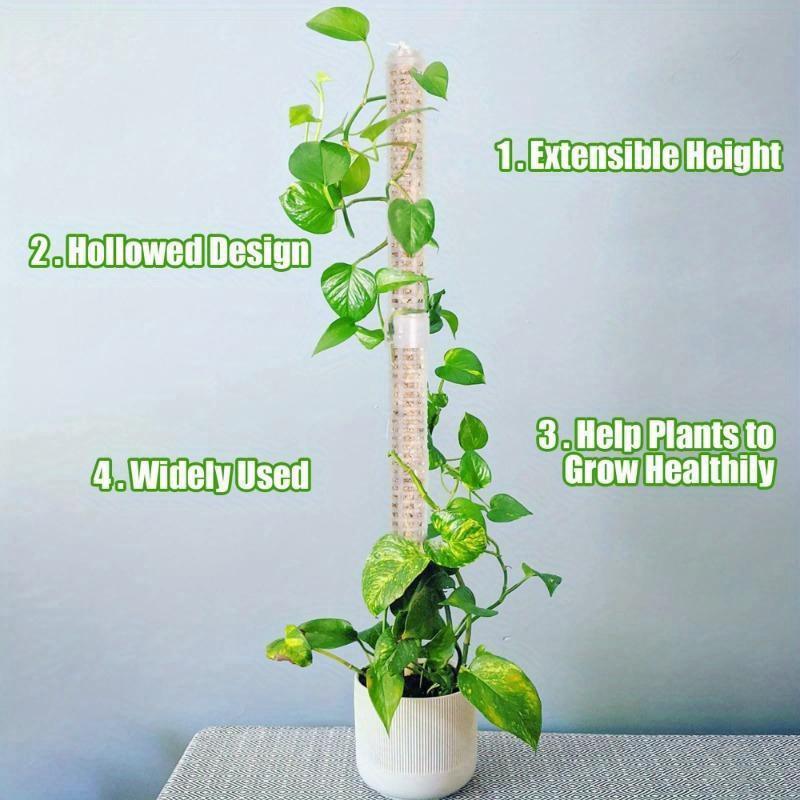Columna de soporte para planta - Sphagnum Moss Dry reseña y precio