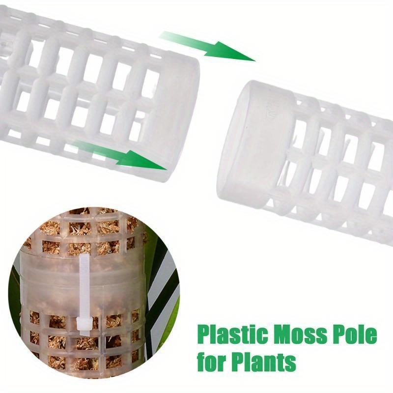 Columna de soporte para planta - Sphagnum Moss Dry reseña y precio