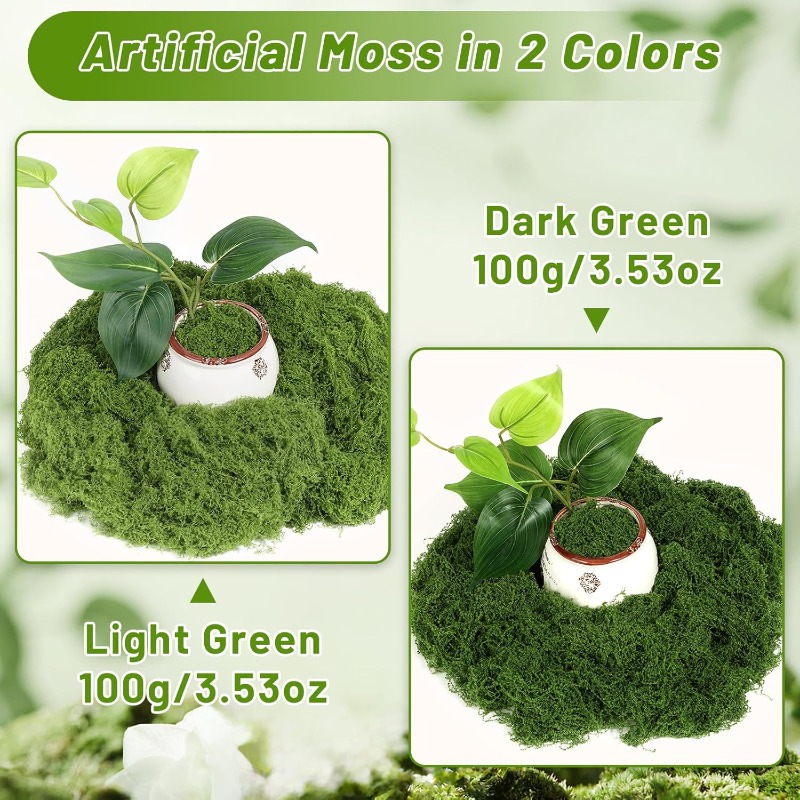 Plantas de musgo verde artific - Sphagnum Moss Dry reseña y precio